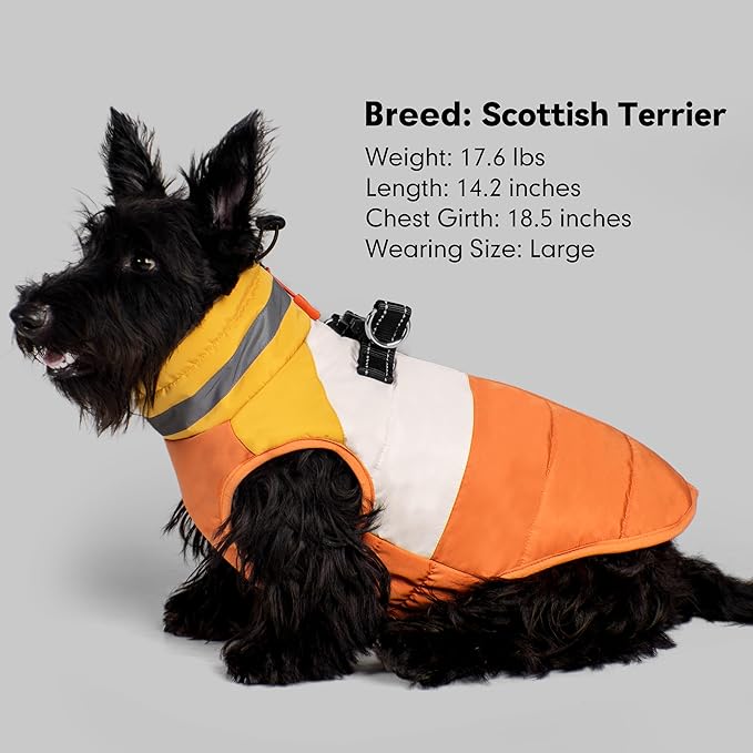 azuza Dog Jacket for Small Dogs Waterproof Dog Coat with Reflective Strips and Harness Built in Warm Fleece Dogs Winter Coat Windproof with Back Zipper, Orange L