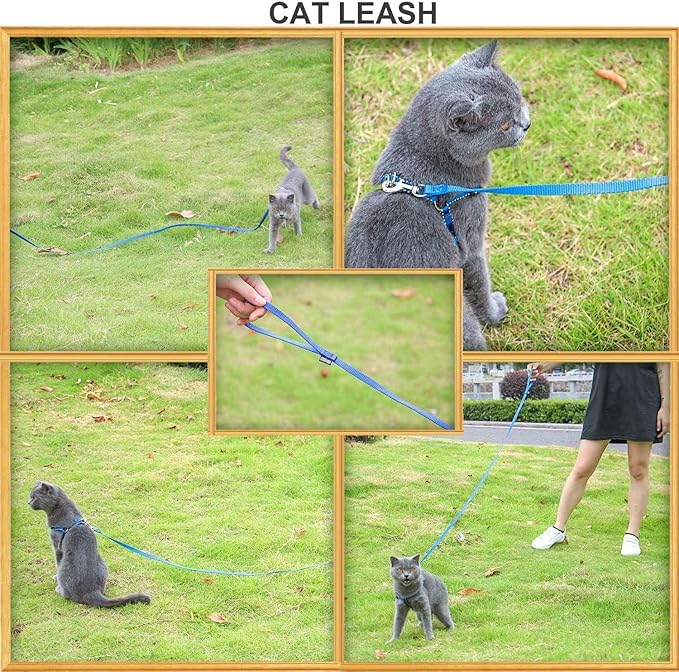 AMAGOOD 6 FT Puppy/ Dog Leash, Strong and Durable Traditional Style Leash with Easy to Use Collar Hook, Great for Small, Medium and Large Dogs (5/8 in x 6 ft, Black and Blue (2-Pack))
