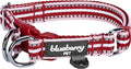 Blueberry Pet Safety Dog Collar with Dual D-Rings | 3M Reflective Multi-Colored Adjustable Collar in Marsala Red and Pink | Soft Nylon Dog Collar for Active Small Dogs