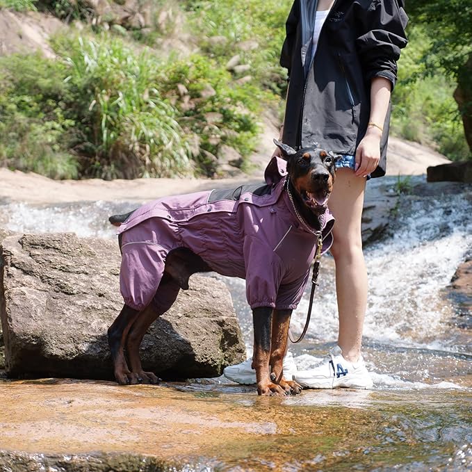 LOVELONGLONG Waterproof Dog Raincoat with Removable Hood – Outdoor Full Body Dog Jacket, Windproof Snowproof Shell Suit – All Season Pet Rain Gear Plum Purple XL