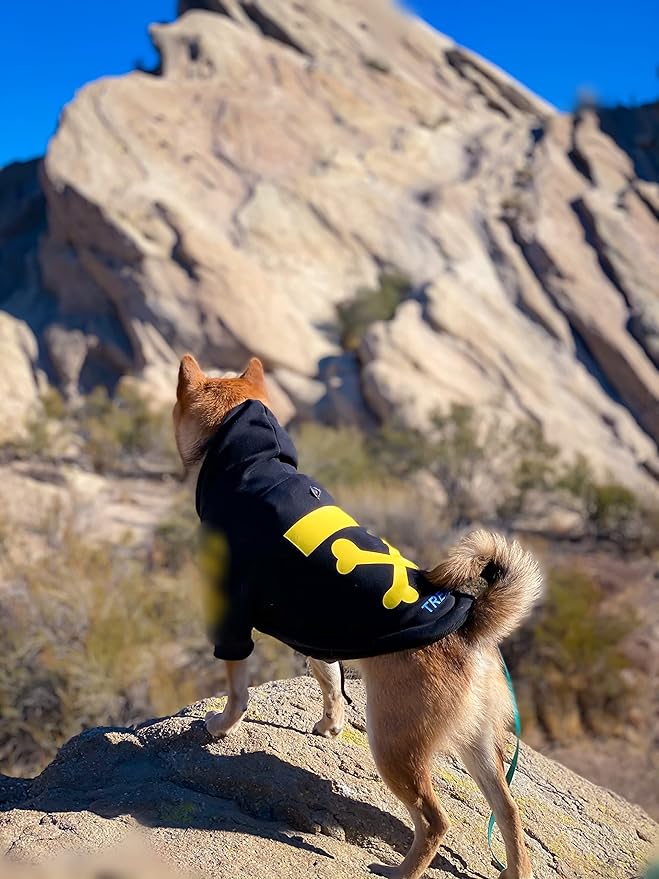 ChoChoCho Stylish Dog Hoodie Dog Clothes Streetwear Cotton Sweatshirt Fashion Outfit for Dogs Cats Puppy Small Medium Large (L, Yellow)