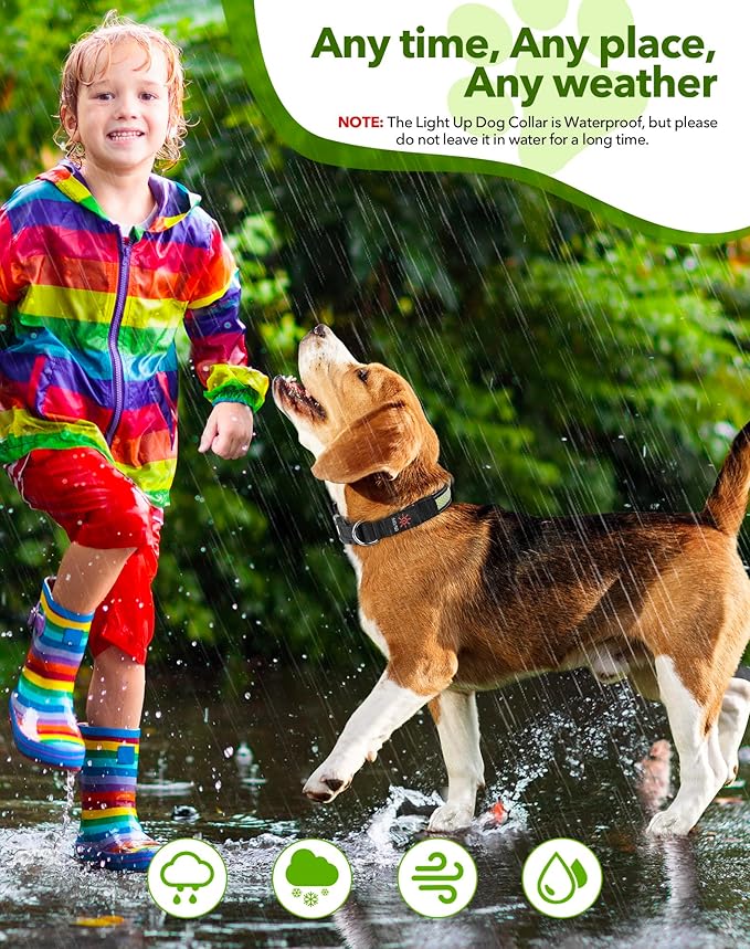Weesiber Light Up Dog Collar - Reflective LED Dog Collar Rechargeable Glow in The Dark Pet Collar, Safety Doggie Lights for Night Walking(Green, S)