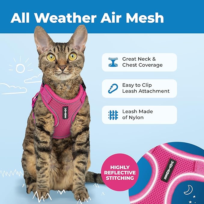 Voyager Escape Proof Cat Harness and Leash Set with Reflective Stitching, Neoprene Handle 5ft - Supports Small, Medium and Large Cats, Kittens for Walking by Best Pet Supplies - Fuchsia, S