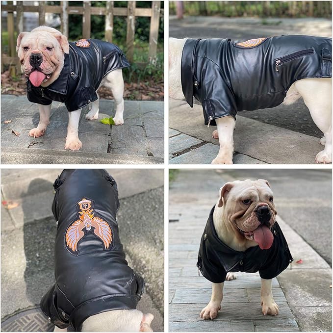 Lovelonglong Cool Dog Leather Jacket, Warm Coats Dogs Windproof Cold Weather Coats for Large Medium Small Dogs with Eagle Embroidery Black B-L