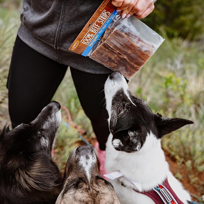 Cadet 100% Beef Strip Long Lasting Chews for Dogs, Single Ingredient Beef Esophagus Dog Treats, Natural High Protein Rawhide Alternative for Small & Large Dogs, 1.4 Ounce