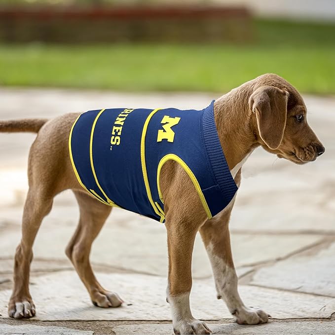 NCAA Michigan Wolverines Dog Anxiety Shirt Calming Soothing Vest, Dogs Cats with Anxiety, Fears, Fireworks, Loud Noises, Dark, Lonely Keeps Dogs Calm & Feeling Safe, Relaxing Jacket, Small