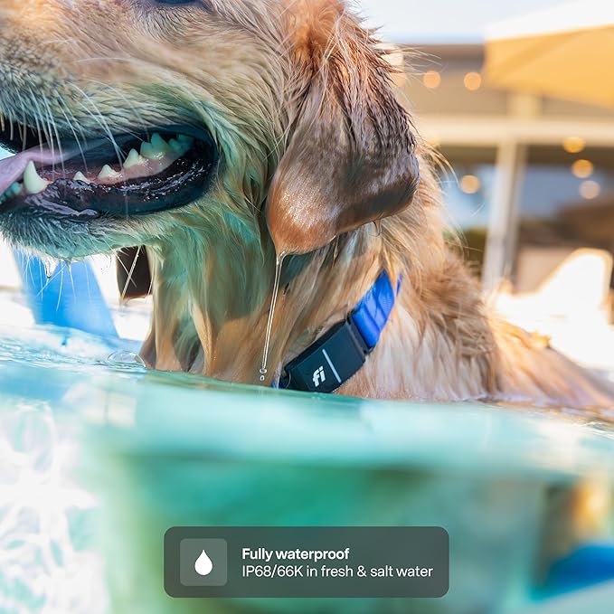 New Fi Series 3+ Smart Dog Tracker Collar – AI GPS for Dogs, Health & Behavior Monitor, Virtual Fence, Escape Alerts, Waterproof, Apple Watch Compatible 12Mo Membership Included