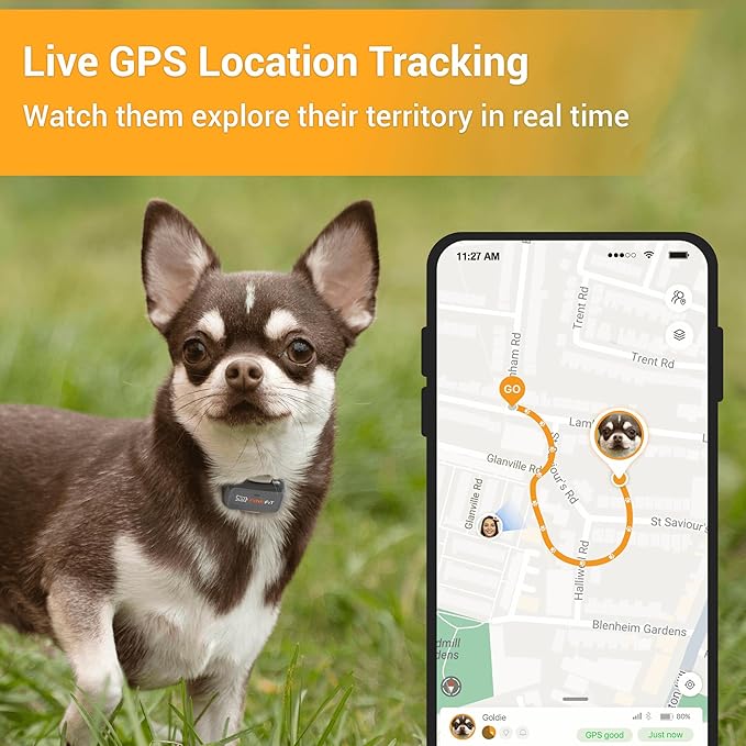 Pawfit Lite for Small Dogs 4g GPS Tracker | Real Time Tracking | Activity Monitoring |Location History | Unlimited Range | Charcoal Grey