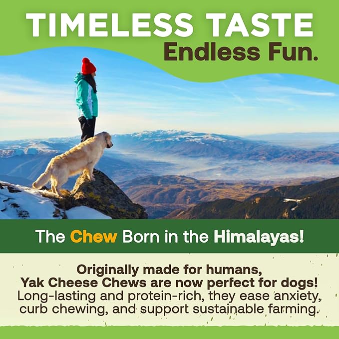 EcoKind Premium Gold Yak Cheese Himalayan Dog Chews, Healthy Dog Treats for Medium Dogs, All Natural, Long Lasting Dog Chew for Aggressive Chewers, High Protein, Rawhide Free Treat, Medium - 3 Chews