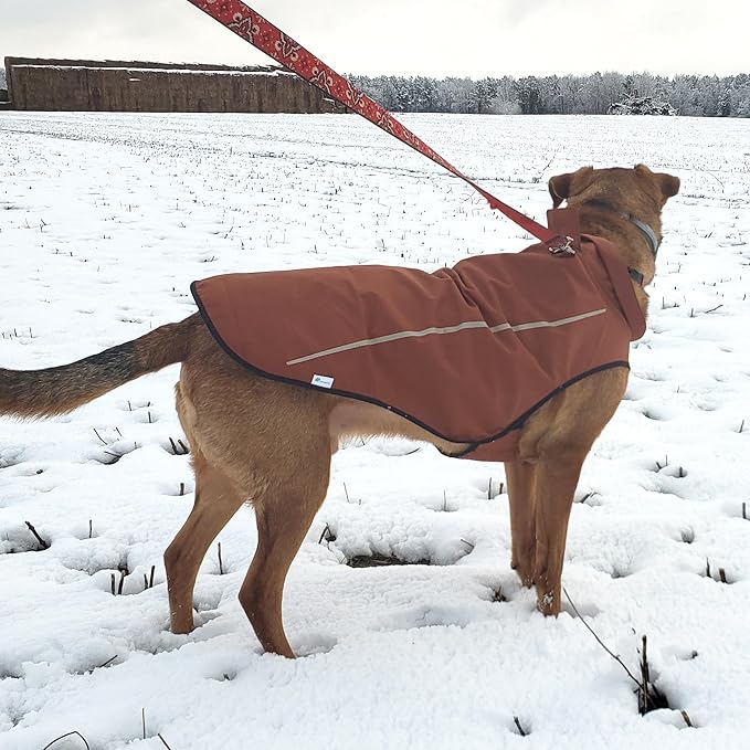 Mile High Life Dog Raincoat, Adjustable Waterproof Reflective Rain Jacket for Small Medium Large Dogs, Lightweight Breathable Pet Rain Coat with Leash Hole(Brown,M Chest 26-32")