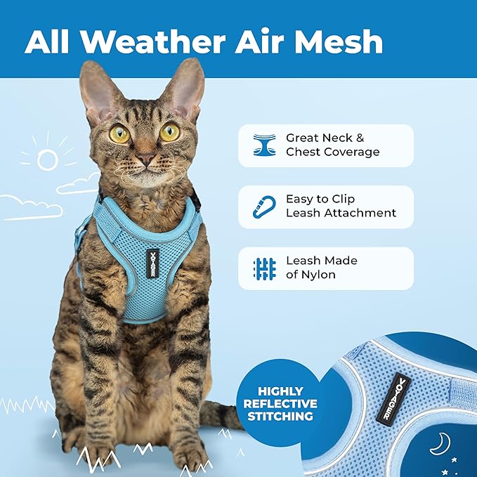 Voyager Escape Proof Cat Harness and Leash Set with Reflective Stitching, Neoprene Handle 5ft - Supports Small, Medium and Large Cats, Kittens for Walking by Best Pet Supplies - Baby Blue, XXS