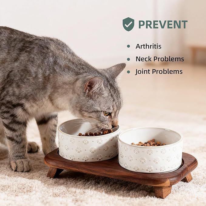 3.6cups Raised Double Cat Bowls Set with Acacia Wood Stand, Wide Whisker Friendly Ceramic Food & Water Bowls for Cats, Puppy, Kitty, Pet Bowl(Double Bowls+Stand, Arctic White)