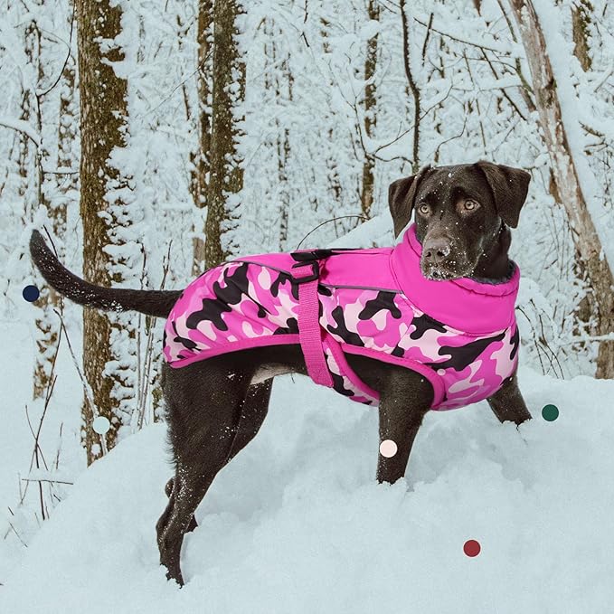 IECOii Extra Warm Reflective Adjustable Dog Jacket - Fleece Turtleneck Winter Coat for Small, Medium & Large Dogs