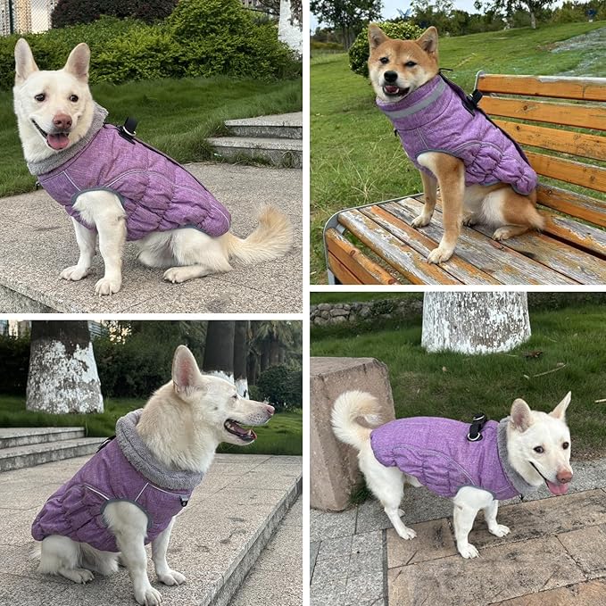 Malier Dog Coat, Reflective Dog Jacket Waterproof Windproof Puppy Cold Weather Coats with Harness Built in, Winter Extra Warm Pet Coat Fleece Vest for Small Large Pets and Puppy (Purple, Medium)