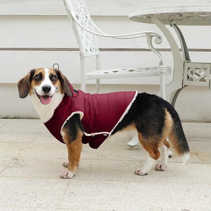Fleece Lining Dog Hoodie with Harness Built in,Extra Warm Medium Dog Jacket in Winter Doggie Coats with Drawstring Hooded,Red XL