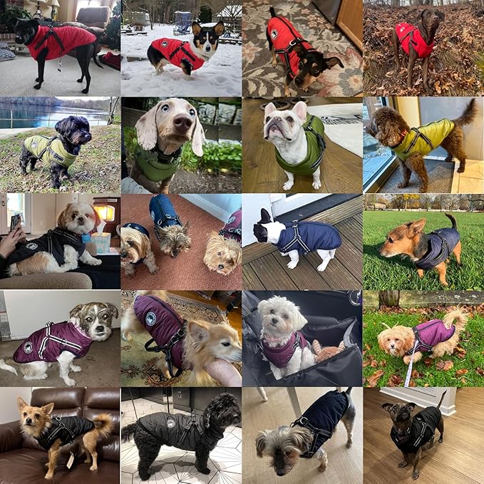 Gyuzh Dog Coat with Harness Puppy Coats Small Dog Harness Jacket Winter Waterproof Jackets for Smal Medium Large Dogs