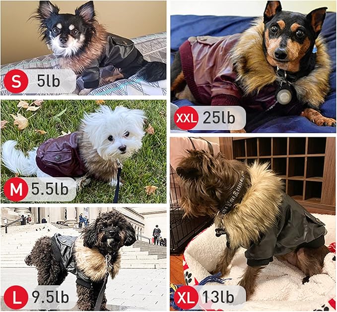 LESYPET Dog Leather Jacket for Small Dogs, Waterproof Dog Winter Jacket Puppy Coat with Fleece Lined, Ultra Warm Fur Collar Doggie Coat, Black X-Large