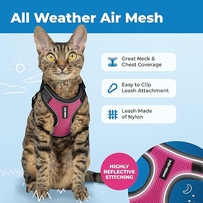 Voyager Escape Proof Cat Harness and Leash Set with Reflective Stitching, Neoprene Handle 5ft - Supports Small, Medium and Large Cats, Kittens for Walking by Best Pet Supplies - BT-Fuchsia, XXXS