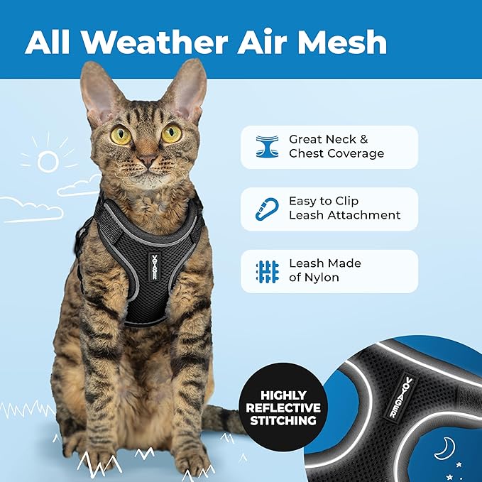 Voyager Escape Proof Cat Harness and Leash Set with Reflective Stitching, Neoprene Handle 5ft - Supports Small, Medium and Large Cats, Kittens for Walking by Best Pet Supplies - Black, XXS