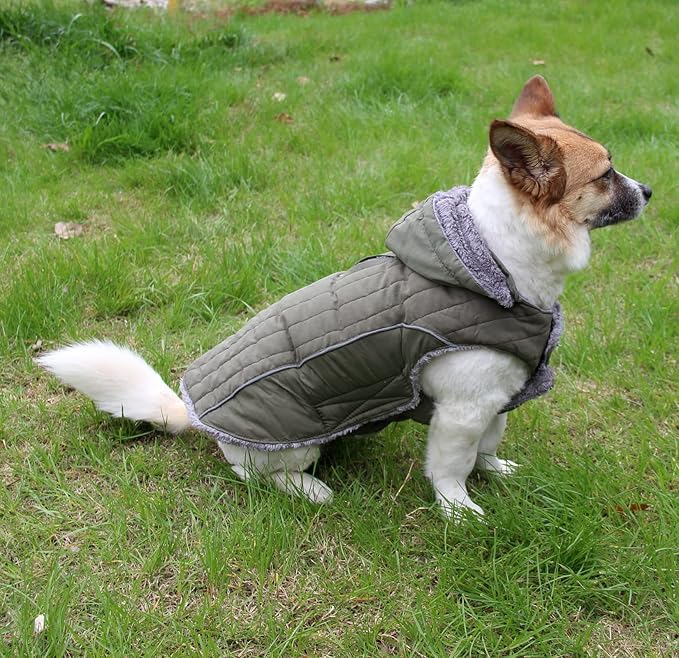 Fleece Dog Hoodie for Medium Dogs Super Warm Doggie Jacket for Cold Winter Dog Coats,Green L
