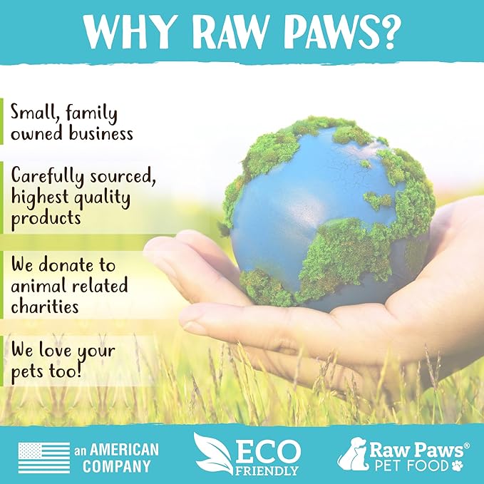 Raw Paws Freeze Dried Cheddar Cheese Treats for Dogs, 3-oz - Crunchy Dog Puffs Made in USA, Natural Dried Wisconsin Cheddar Bites - 100% Real Cheese Treats