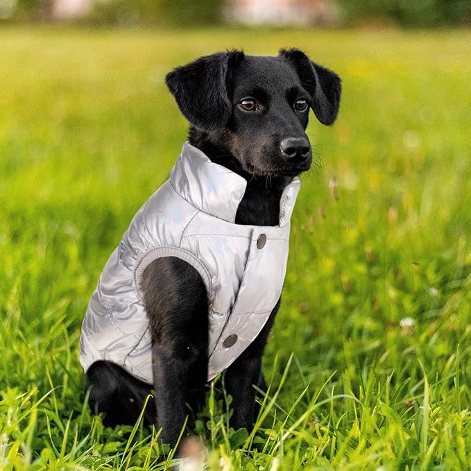 ASENKU Dog Winter Coat - Waterproof Windproof Dog Jacket, Warm Snowproof Doggie Puffer Vest for Cold Weather, Lightweight Snow Coats for Small Medium Large Dogs (Silver, 2XL)