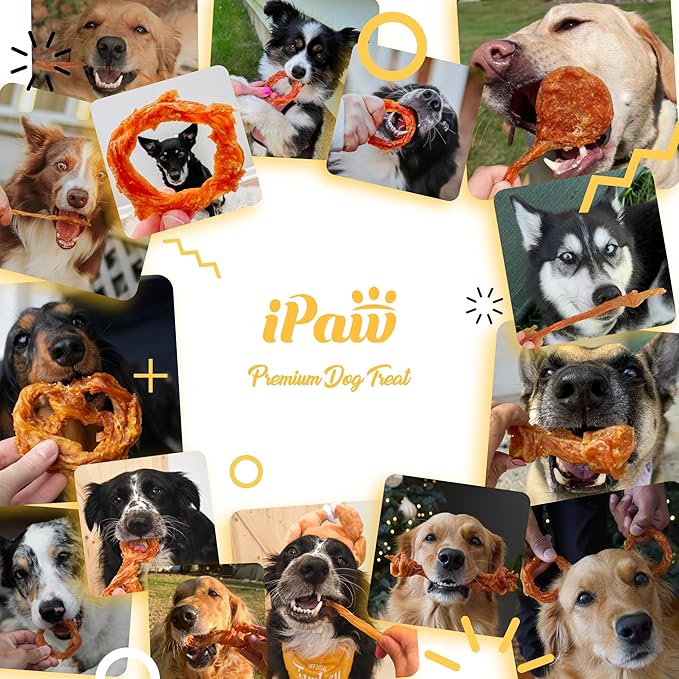 iPaw Turkey Tendons for Dogs, 100% Turkey and US Sourced Raw Material, Hypoallergenic, All Natural Human Grade Puppy Chew, Rawhide Alternative Dog Treats, 4 Units/Pack Ring (Small)