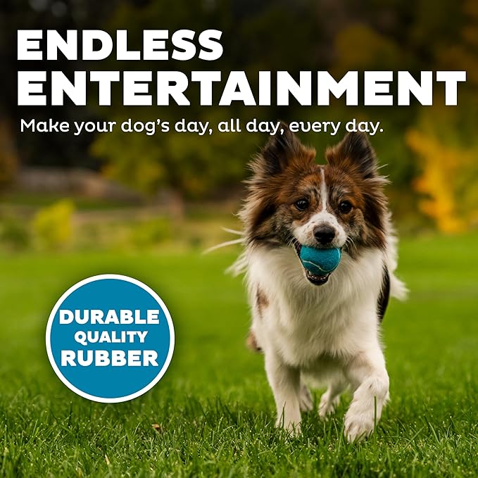 Outward Hound Squeaker Ballz 4-Pack Tennis Ball Dog Toys with Squeaker, Interactive Fetch Play for Pets Under 25 lbs, Training Balls for Indoor & Outdoor Exercise, Small, 2-inch