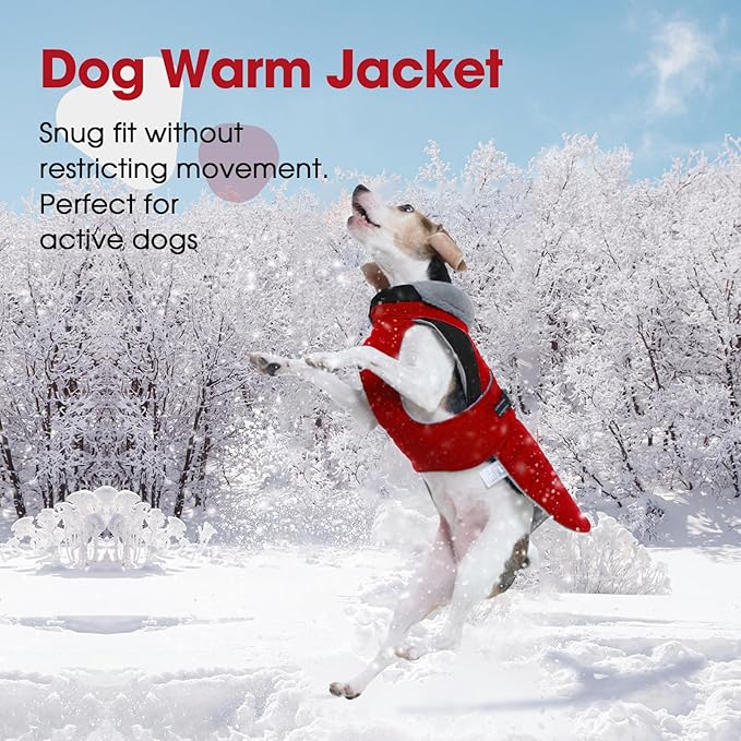 Nanaki Small Dog Coat for Winter Waterproof, Warm Fleece Lining Furry Collar Dog Jacket with Leash Hole, Reflective Adjustable Cold Weather Puppy Pet Snow Jacket Vest Outdoor Walking Hunting, Red M