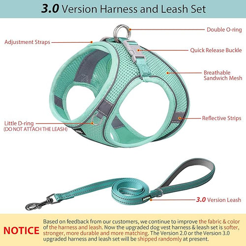 AIITLE Step in Dog Harness and Leash Set - Summer No Pull Escape Proof Vest Harnesses with Soft Mesh and Reflective Bands, Adjustable Pet Outdoor Harnesses for Small and Medium Dogs Pure Turquoise M
