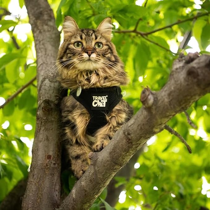 Travel Cat Harness and Leash Set - Adjustable Fit Mesh Cat Harness and Reflective Strap - Comfort Walking Vest for Kitten for Outdoor Walking, Hiking (Extra Small, Black)