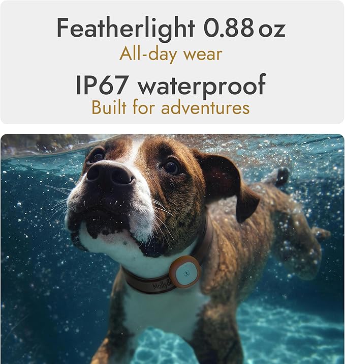 Molly&Cody GPS + Bluetooth Pet Tracker for Cats & Dogs – Real‑Time Tracking, Virtual Fence, IP67 Waterproof, Up to 60‑Day Battery, Health Monitoring, iOS/Android – 3‑Month Subscription Included (Red)