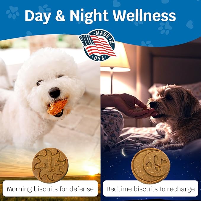 Shmush! Morning & Night Healthy Dog Biscuits – 100% All Natural Dog Treats Superfood with Blueberries, Colostrum & Moringa - Vet Formulated, Non-GMO, USA Made, Grain Free Cookies for Dogs - 14 Count