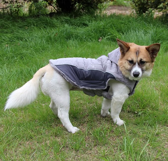 Fleece Dog Hoodie for Small Dogs Super Warm Puppy Jacket for Cold Winter Dog Coats,Grey XS