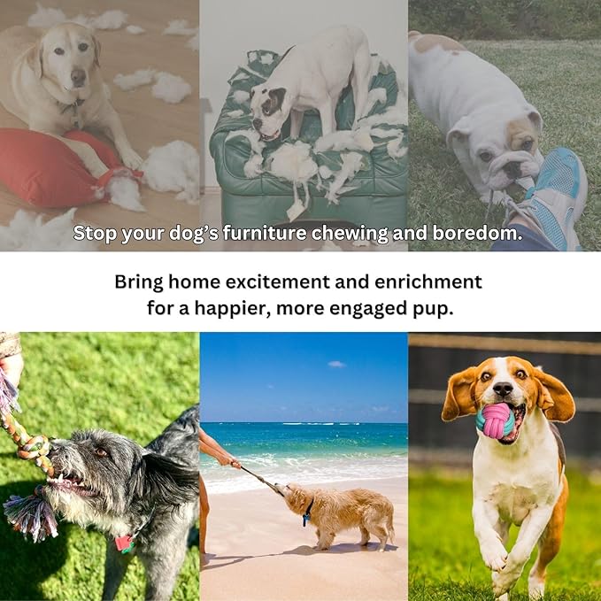 2ME Puppy Rope Toys for Teething and Chewing - Set of 4 Natural Cotton Tug of War Rope for Dogs of All Breeds and Sizes