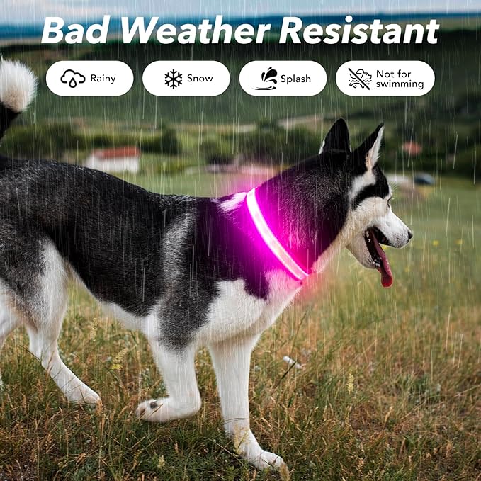 Visinite LED Dog Collar USB Rechargeable, Reflective Light Up Pet Collar for Night Walking, Adjustable Glow Collar for Small Medium Large Dogs (Pink, M)