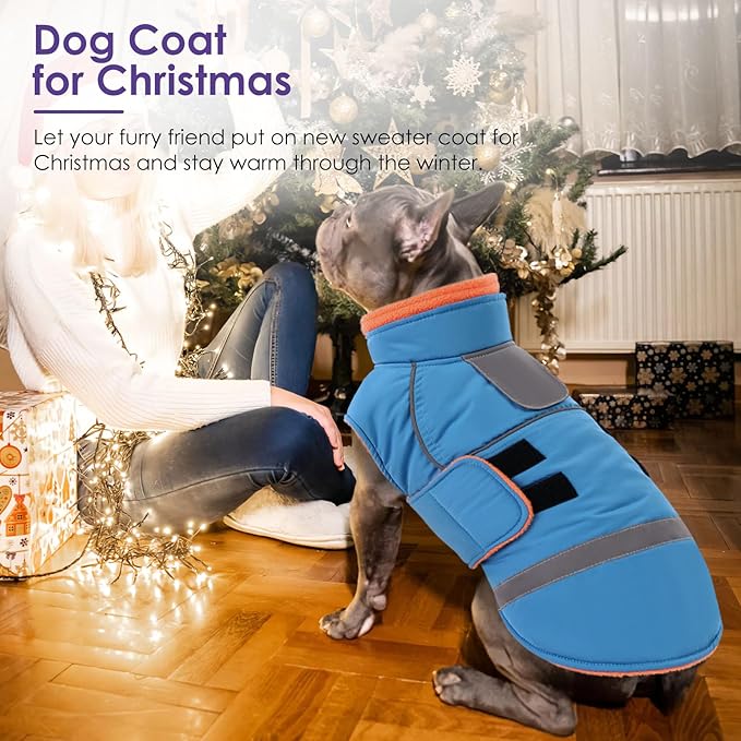 SUNFURA Small Dog Coat, Warm Dog Winter Coat, Adjustable Pet Jacket with Leash Hole, Waterproof Pet Snow Jacket Puppy Sweater Coats, Turquoise XS