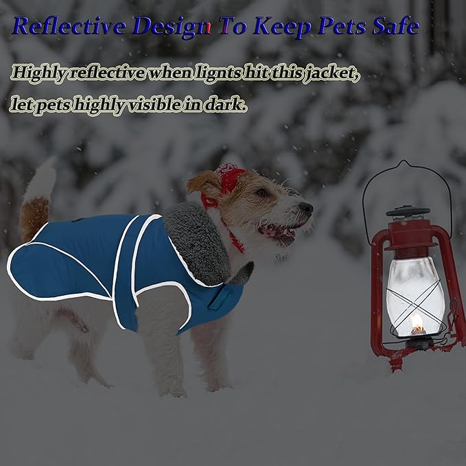Dogcheer Dog Coat, Waterproof Dog Jacket Reflective Pet Winter Coat with Adjustable Hook & Loop, Christmas Puppy Fleece Jacket Warm Turtleneck Snowsuit for Small Medium Large Dogs - Sky Blue, S