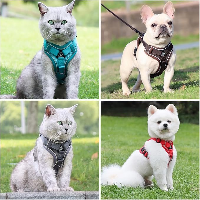 Escape Proof Cat Harness and Leash Set for All Types of Cats - Adjustable Reflective Soft Mesh Vest with 4 Buckles, Breathable Walking Harness for Kittens to XL Cats