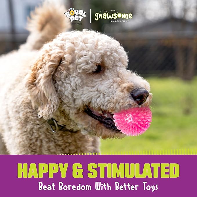 Gnawsome™ 3.5” Spiky Squeak & Light Ball Dog Toy - Medium, Cleans Teeth and Promotes Good Dental and Gum Health for Your Pet, Colors will vary, 3.5"
