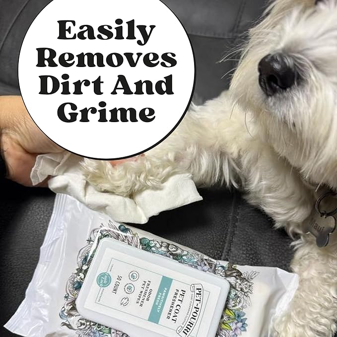 Poo-Pourri Pawsitively Fresh Deodorizing Pet Wipes – Quick Cleaning Wipes for Dogs & Cats – Plant Based Ingredients – Vet Recommended – Cleaner Odor Remover Wipes for Paw, Fur & Skin Soothing