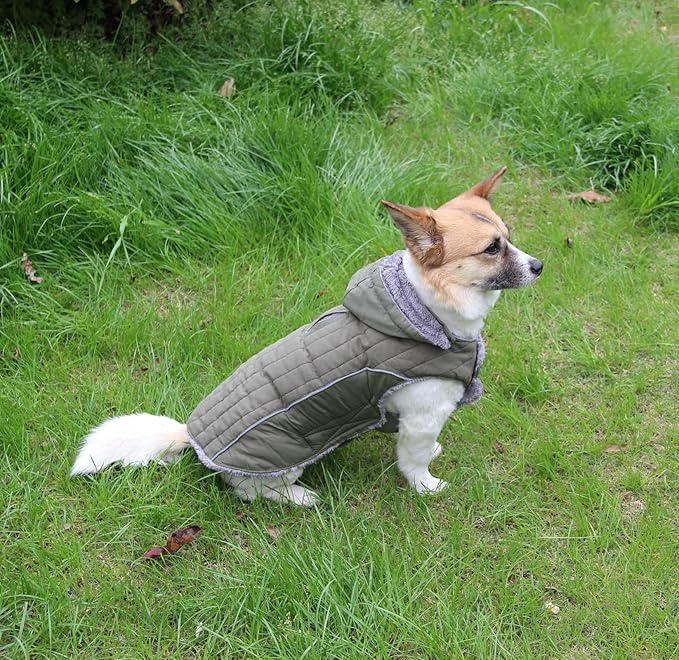 Fleece Dog Hoodie for Small Medium Dogs Super Warm Puppy Jacket for Cold Winter Dog Coats,Green M