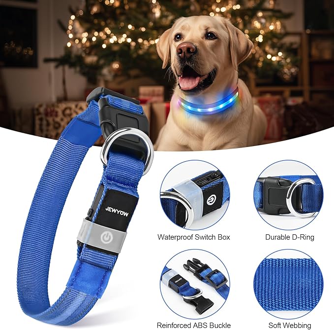 LED Dog Collar, Light Up Dog Collar, USB Rechargeable - Brightest Dog Lights for Night Walking, 6 Light Modes, Adjustable for Dog Safety(Medium, Royal Blue)