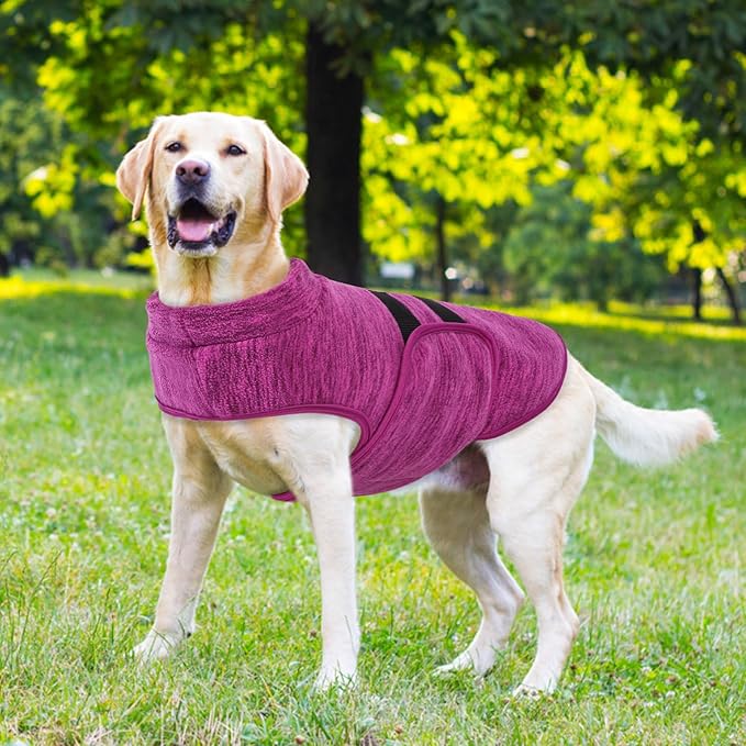 Queenmore Small Dog Sweaters, Soft Fleece Vest Pullover Dog Jacket with Leash Hole, Warm Winter Dogs Clothes Cold Weather Doggy Dachshund Sweater for Small Doggy Cats Boy or Girl (Cationic Berry, S)