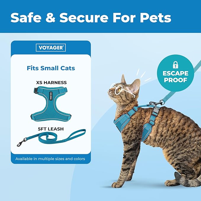 Voyager Escape Proof Cat Harness and Leash Set with Reflective Stitching, Neoprene Handle 5ft - Supports Small, Medium and Large Cats, Kittens for Walking by Best Pet Supplies - Turquoise, XS
