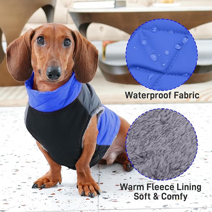 Warm Fleece Dog Coats for Small Dogs,D-Rings Waterproof Puppy Jacket for Cold Winter,Blue XS