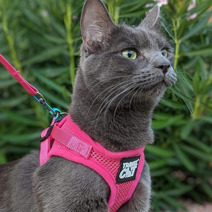 Travel Cat Harness and Leash Set - Adjustable Fit Mesh Cat Harness and Reflective Strap - Comfort Walking Vest for Kitten for Outdoor Walking, Hiking (Extra Small)