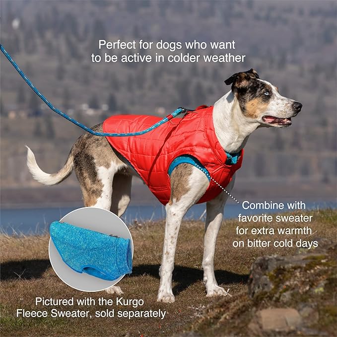 Kurgo Loft Dog Jacket - Reversible Cozy Coat for Outdoor Adventures - Water Resistant - Athletic Fit - Machine Washable Fabric - Reflective Dog Gear - Large - Lava Lamp