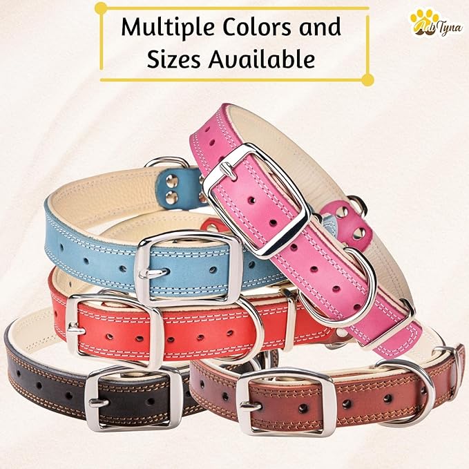 ADITYNA Heavy-Duty Leather Dog Collar for Small Dogs - Soft Padded for Comfort - Small Dog Collar for Walking, Training, and Hiking