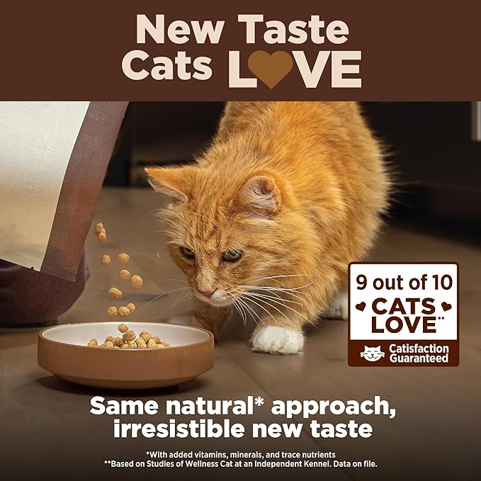 Wellness CORE+ Adult Dry Cat Food for Indoor Cats, Grain-Free, Natural, Salmon and Herring Meal (11 Pound Bag)
